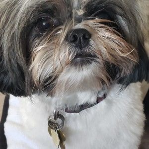 Meet your Posher, Mike